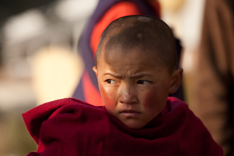 Young buddhist monk by Artis Rams, on Flickr