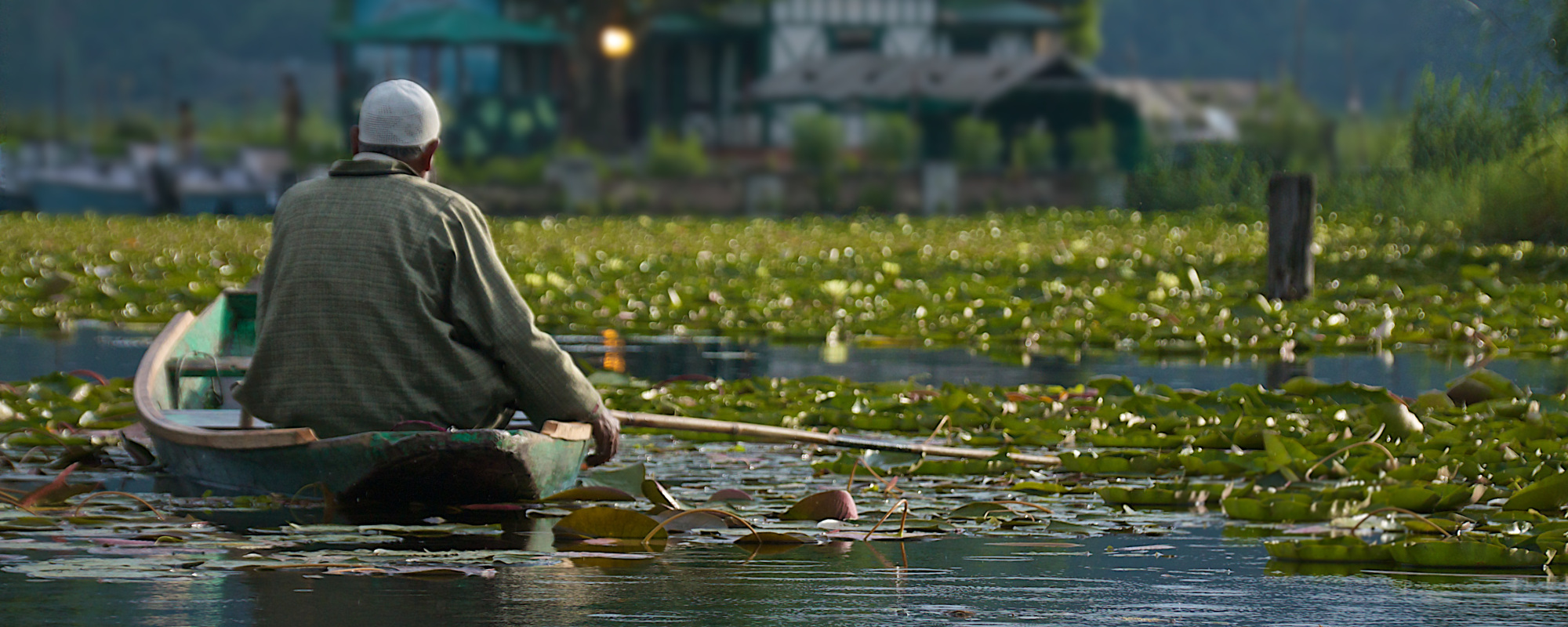 Fisherman on Dal Lake - Version 5