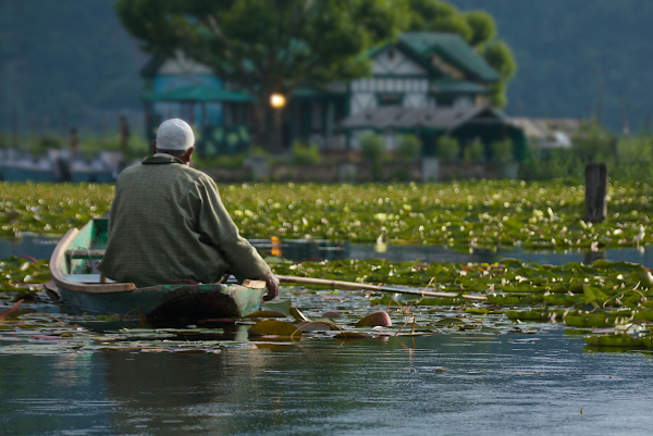 Fisherman On Dal Lake is the most commonly stolen photo I find