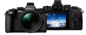 Olympus OMD Series has built in Image stabilization the camera, so you can buy lenses w/o image stabilization.
